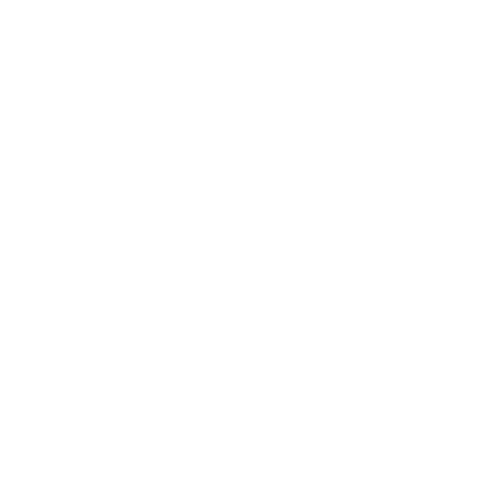 RTP Slot